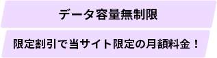 データ容量無制限 限定割引で当サイト限定の月額料金！