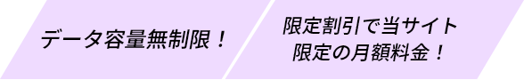 データ容量無制限 限定割引で当サイト限定の月額料金！