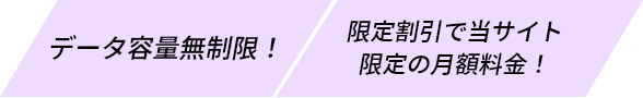 データ容量無制限 限定割引で当サイト限定の月額料金！